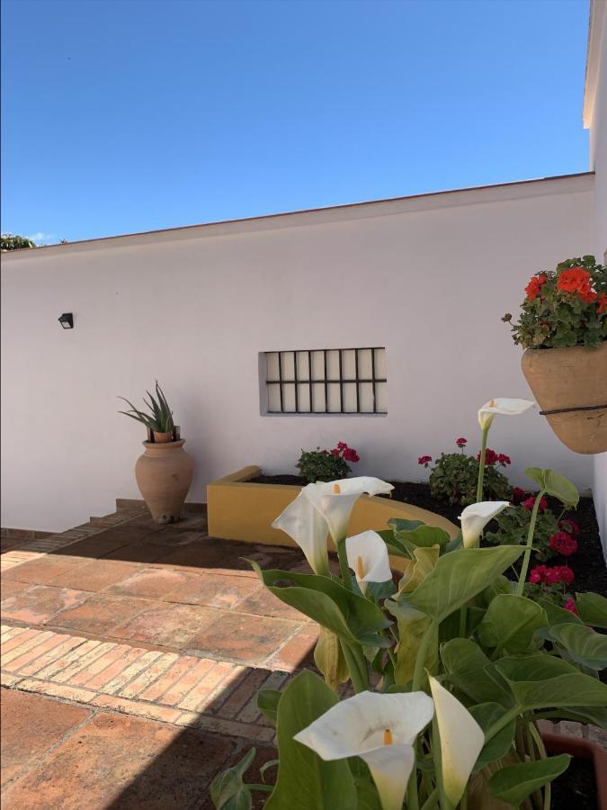 Encantador Apartamento-Centrico-Con Amplio Jardin Torremolinos Kültér fotó