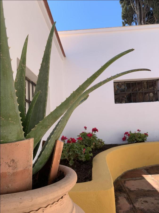 Encantador Apartamento-Centrico-Con Amplio Jardin Torremolinos Kültér fotó